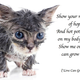 Image for article titled Robin Thicke's Paula Lyrics Are as Pathetic as a Soaking Wet Animal